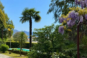 A garden with a pool, palm trees, and purple flowers.