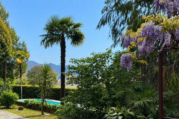 A garden with a pool, palm trees, and purple flowers.