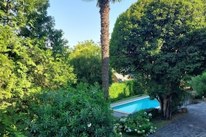 Una piscina circondata da vegetazione lussureggiante e una palma.