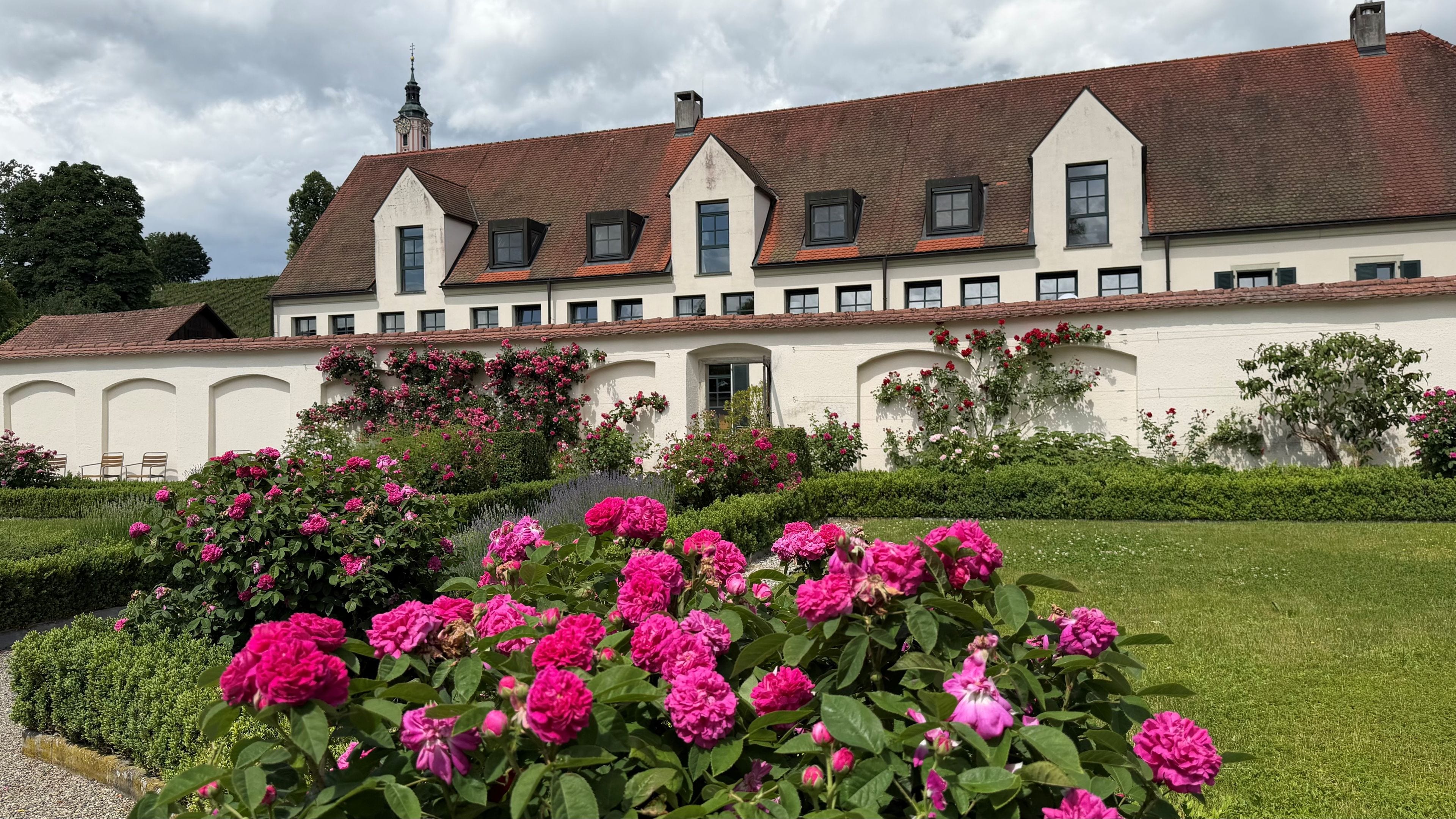 Un edificio amplio con numerosas ventanas y un jardín con flores rosadas.