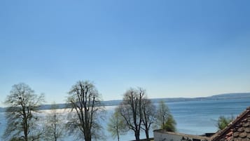Vista de un jardín ajardinado con un cuerpo de agua al fondo, cielo despejado y un edificio con techo visible.