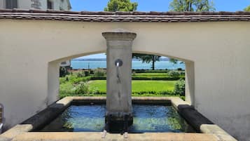 A fountain with a clear view of a lake and greenery in the background.