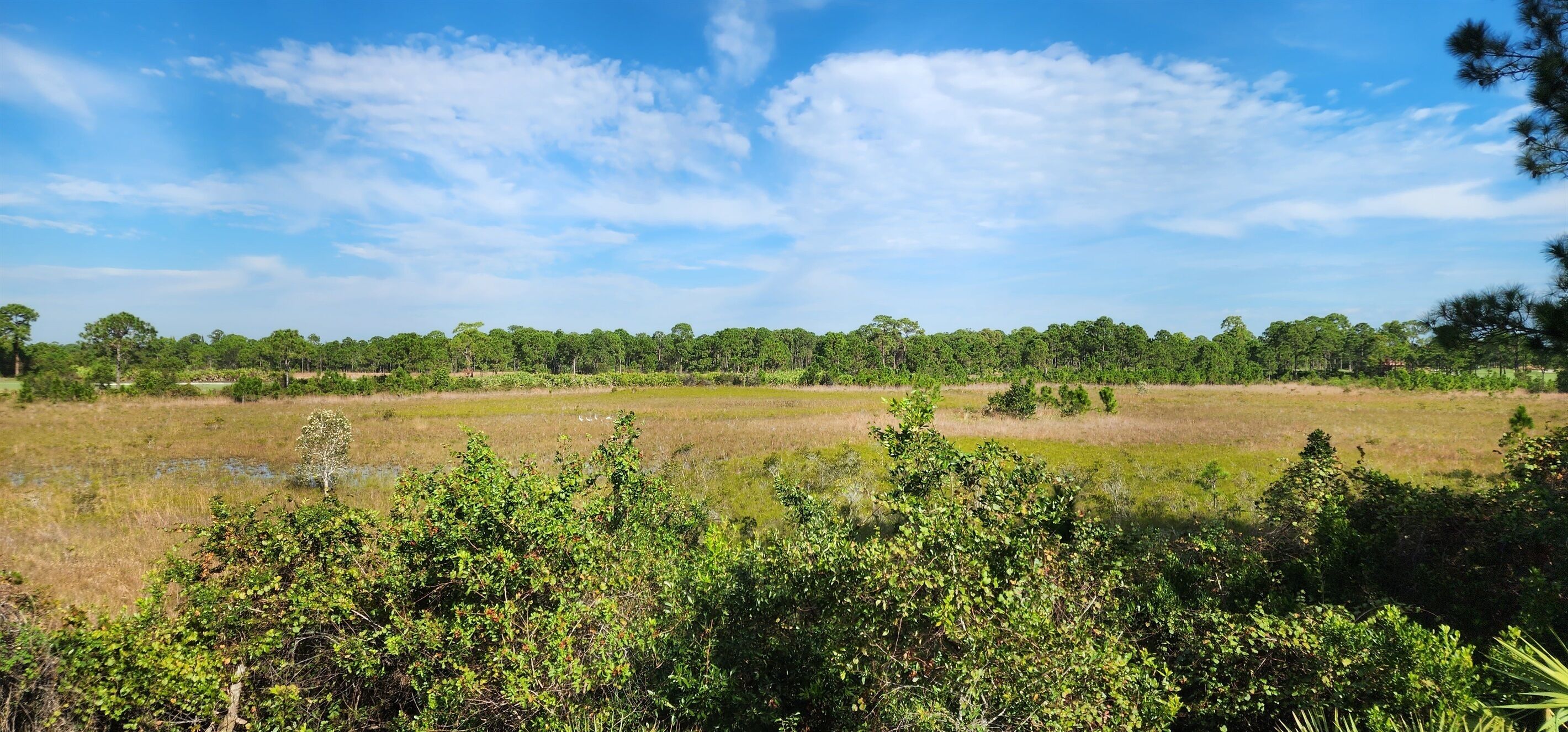 A natural landscape with a grassy field, dense trees, and a clear sky.