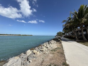 A coastal walkway with a rocky barrier, palm trees, and a clear view of the sea.