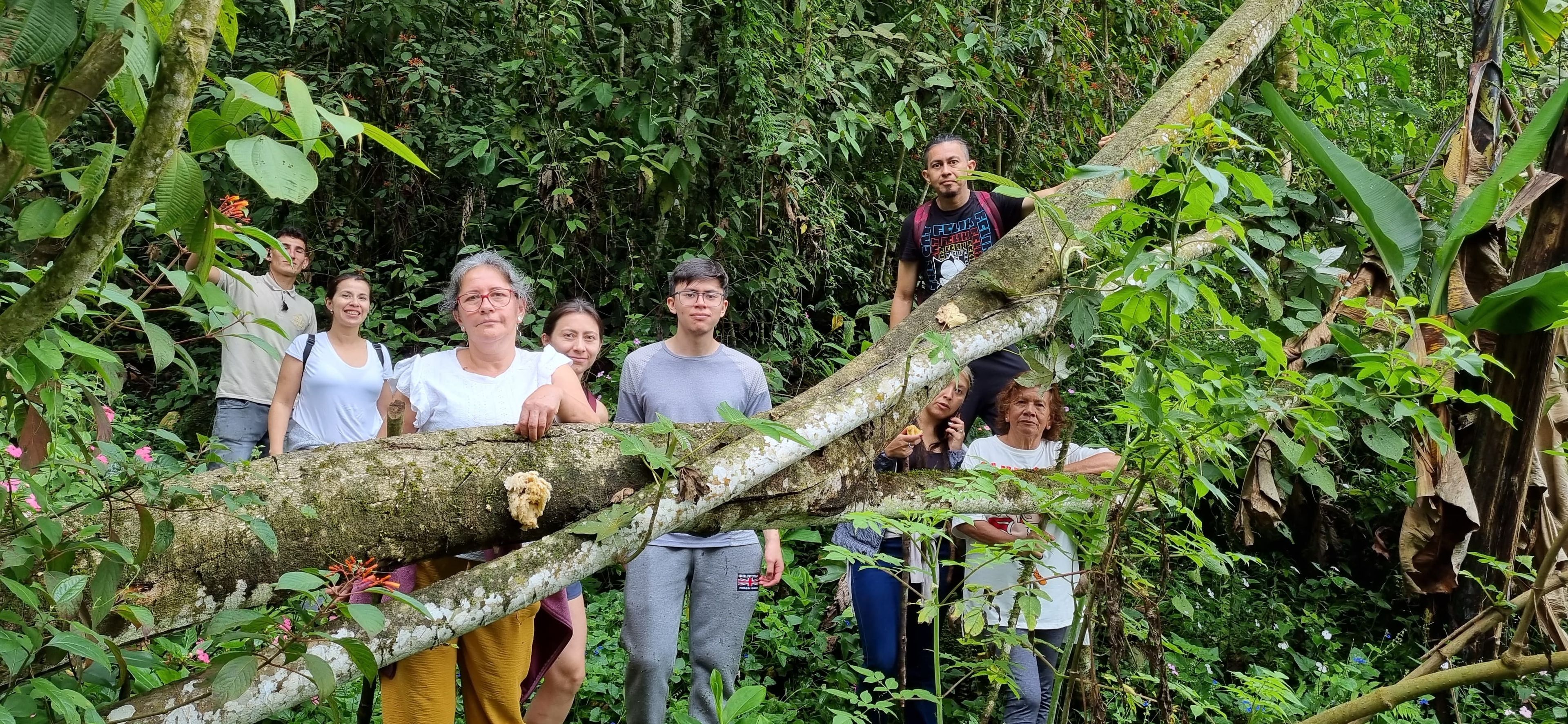 Un groupe de personnes se tient dans une zone boisée, avec un grand arbre abattu au premier plan.