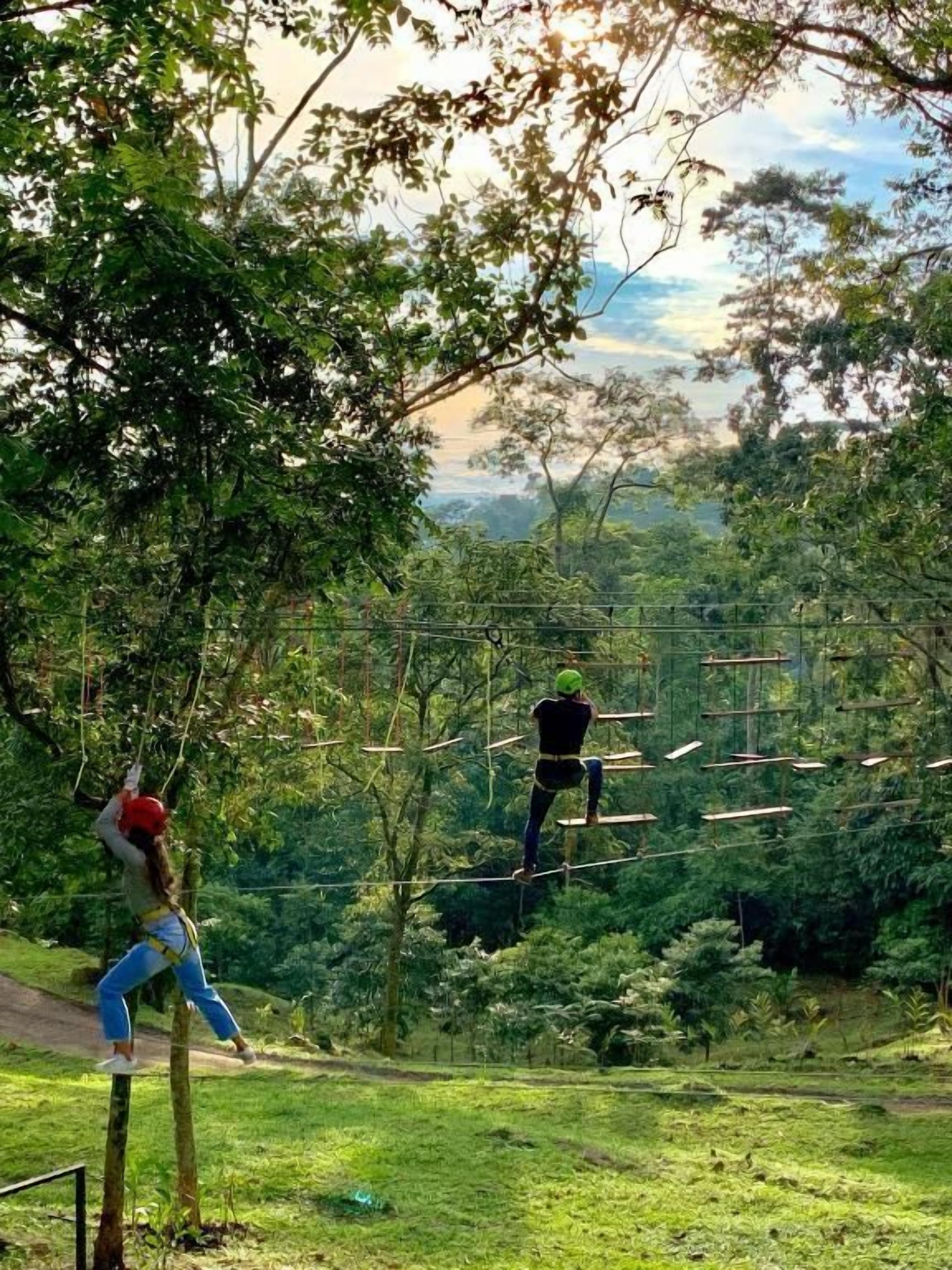 An outdoor activity area with ropes and trees, suitable for adventure sports.