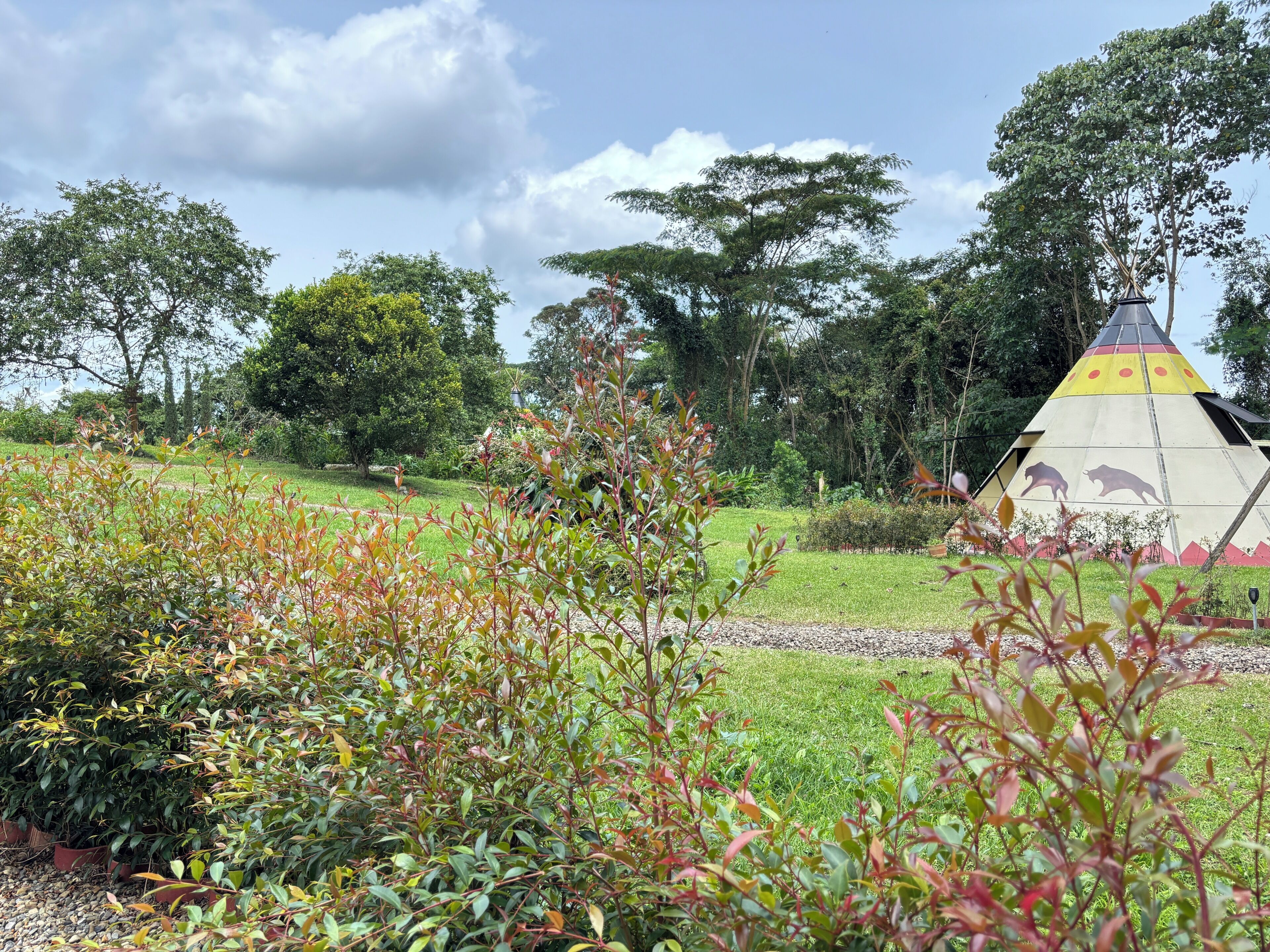 A grassy area with a conical structure featuring animal silhouettes, surrounded by trees and shrubs.