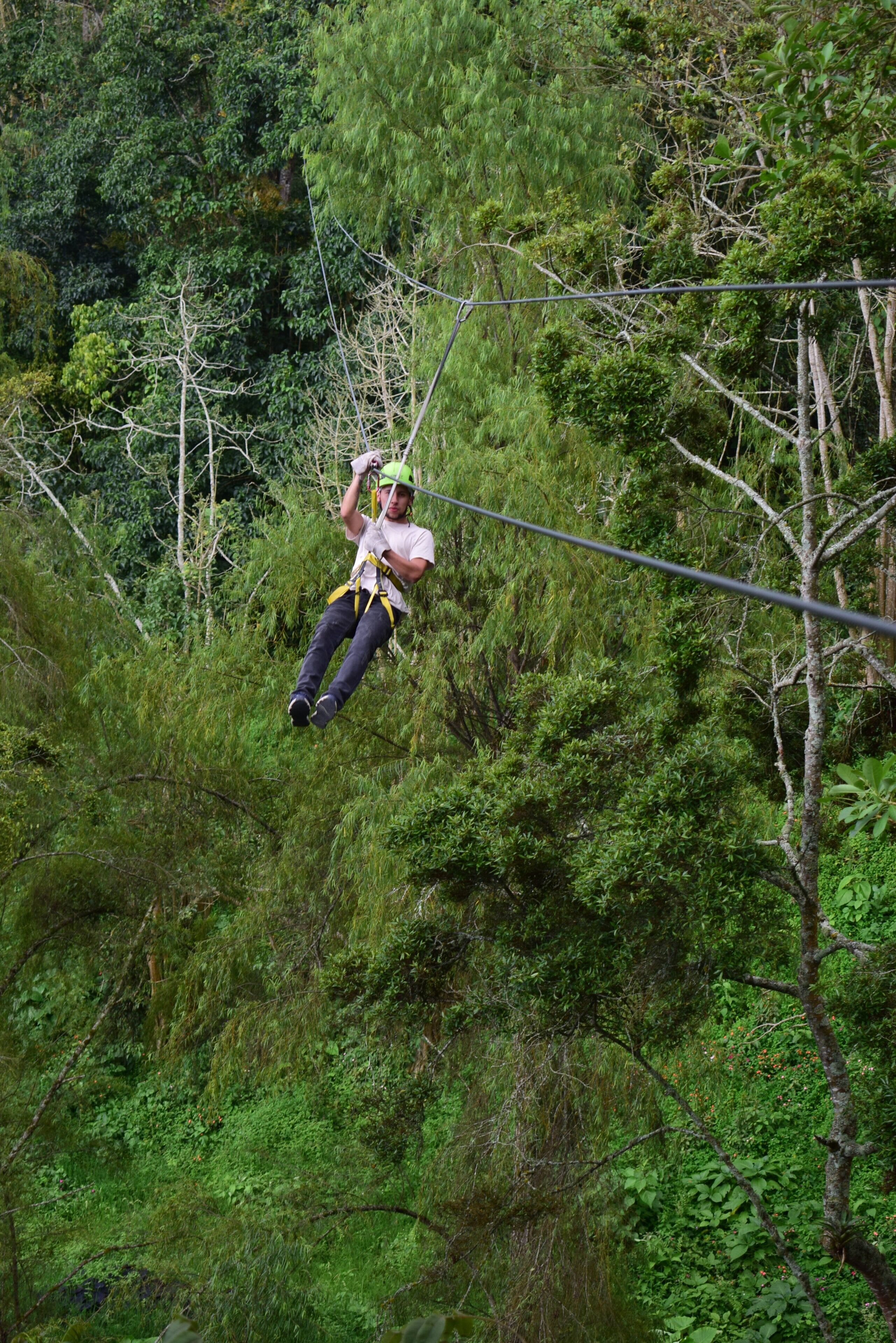 A person bungee jumping from a high point in a forested area.