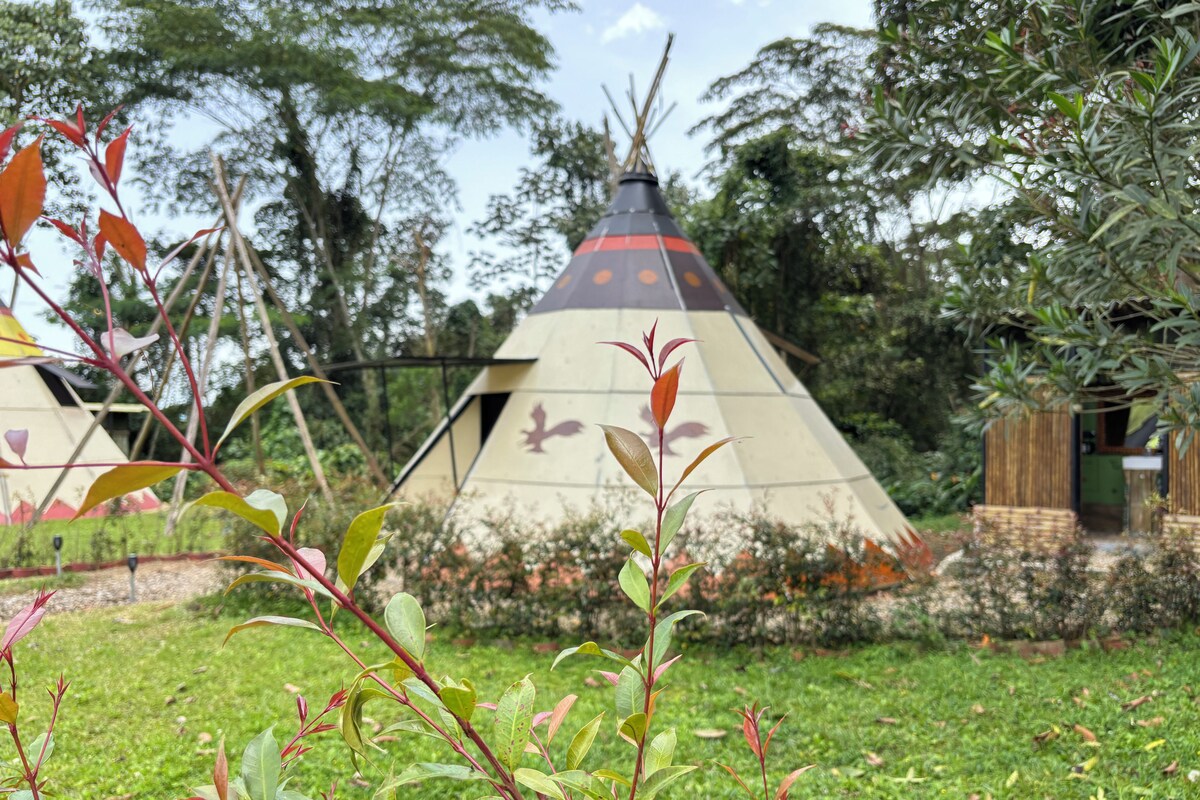 A teepee with a conical roof, surrounded by a grassy area with trees and a small wooden structure.