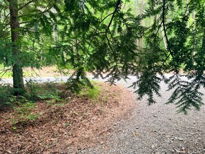 Uma área arborizada com um caminho de cascalho.