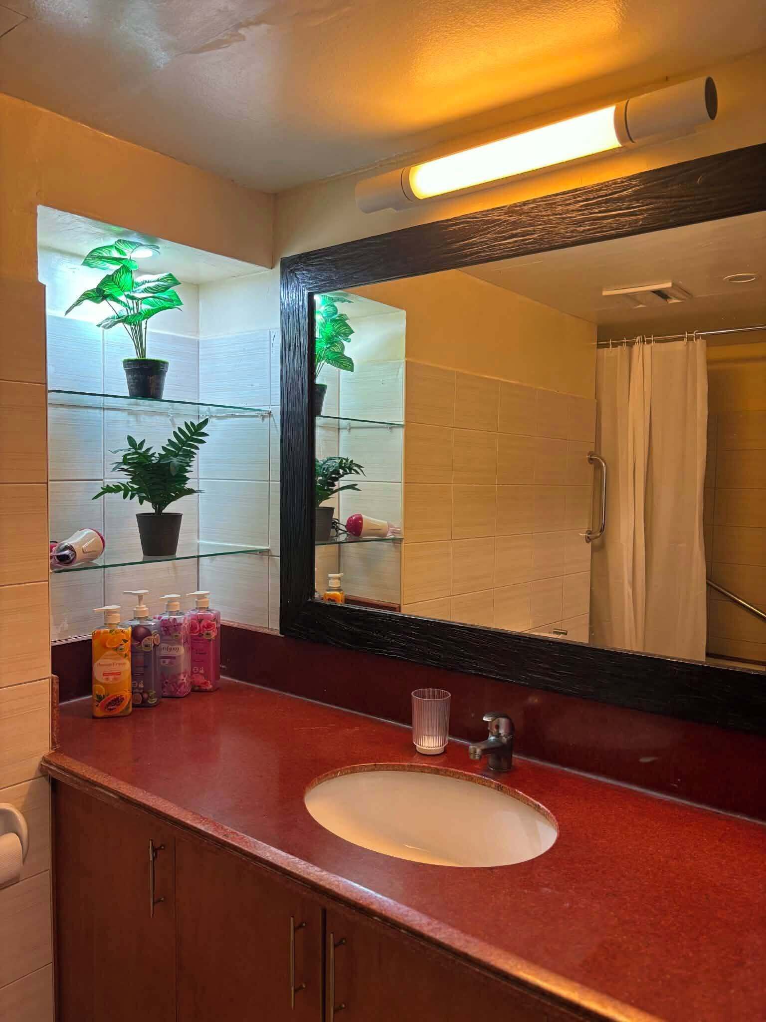 Hair dryer, bidet, towels, soap