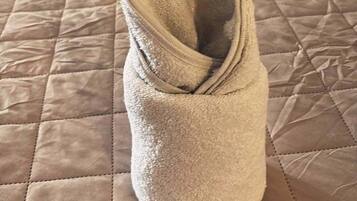 1 chambre, fer et planche à repasser, Wi-Fi, draps fournis