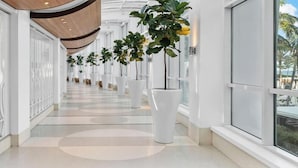 A modern hallway with white walls, large windows, and potted plants.