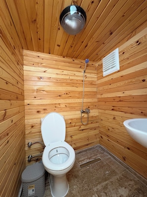 Douche, serviettes fournies, shampoing, papier toilette