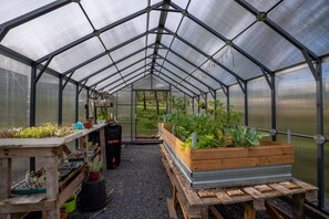 A greenhouse with wooden benches, potted plants, and a variety of vegetables growing in raised beds.