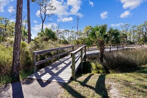 A wooden boardwalk leading through a natural area with trees and shrubs. - Heron's Nest, St. George Plantation, Birding Paradise, Community Pool and Tennis (St. George Island)