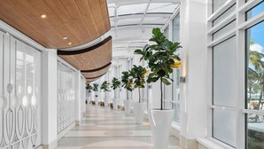 A modern hallway with white walls, large windows, and potted plants. - Sorrento 1514 (Miami Beach)