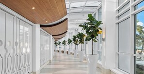 A modern hallway with white walls, large windows, and potted plants. - Sorrento 1514 (Miami Beach)