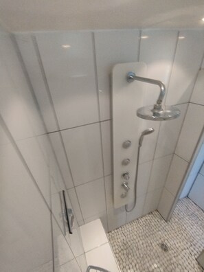 A modern shower with a handheld showerhead and multiple nozzles. - Country house facing the Ventoux (Modène)