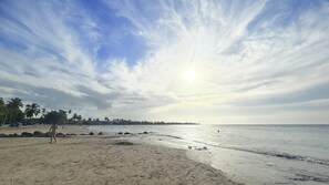 Una playa con palmeras, orilla arenosa y mar tranquilo bajo un cielo parcialmente nublado.
