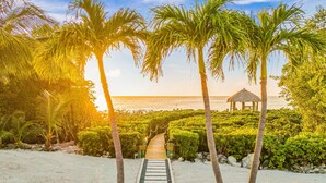 Un camino que lleva a una playa con palmeras y una construcción de paja.