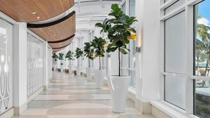 En moderne gang med hvide vægge, store vinduer og potteplanter.