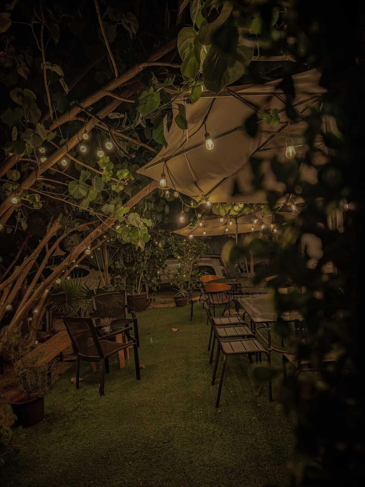 An outdoor patio area with tables and chairs, surrounded by greenery and string lights.
