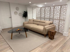 TV, fireplace, computer monitors
