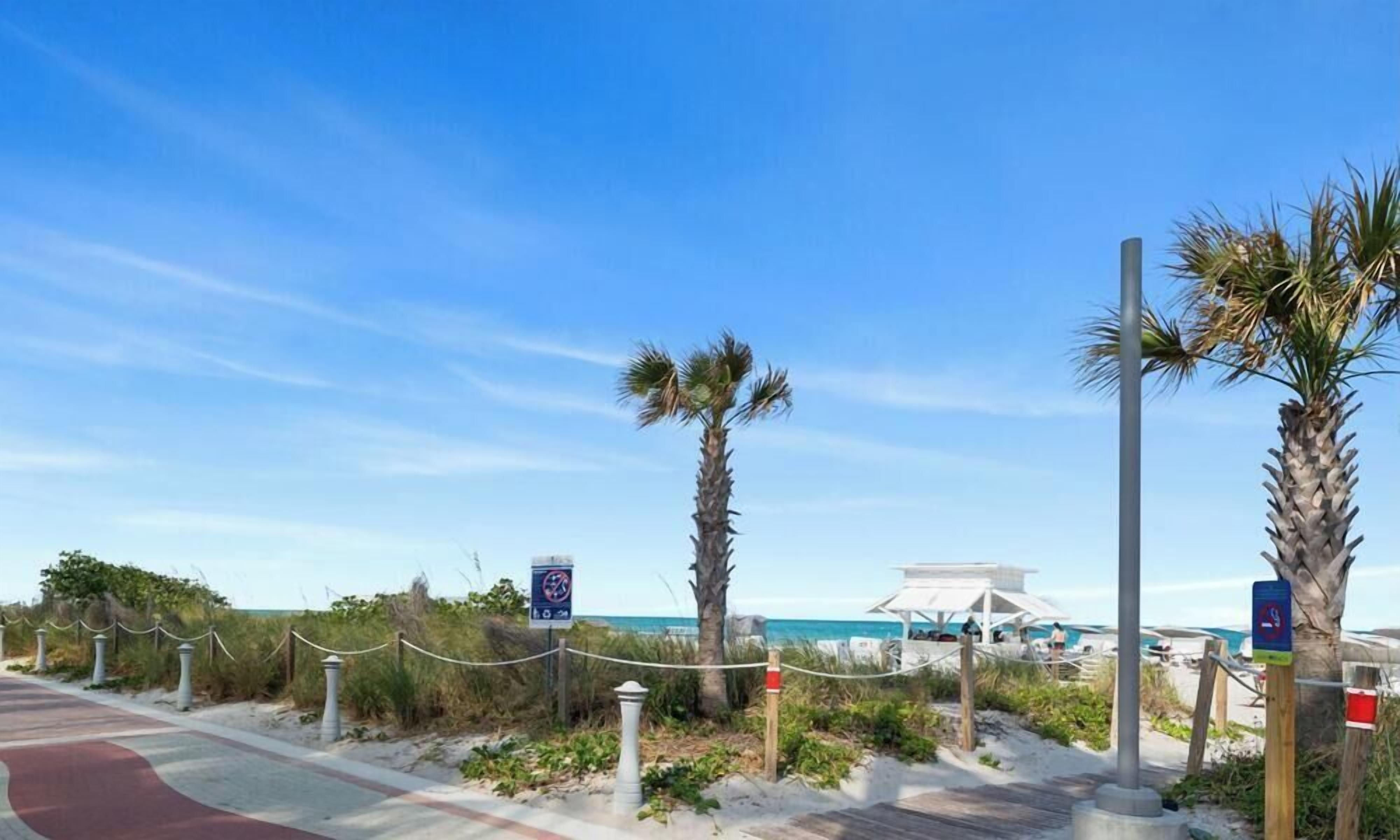 Un paseo marítimo costero con palmeras, una playa y una torre de salvavidas.