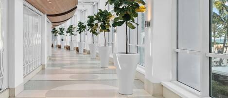 A modern hallway with white walls, large windows, and potted plants.