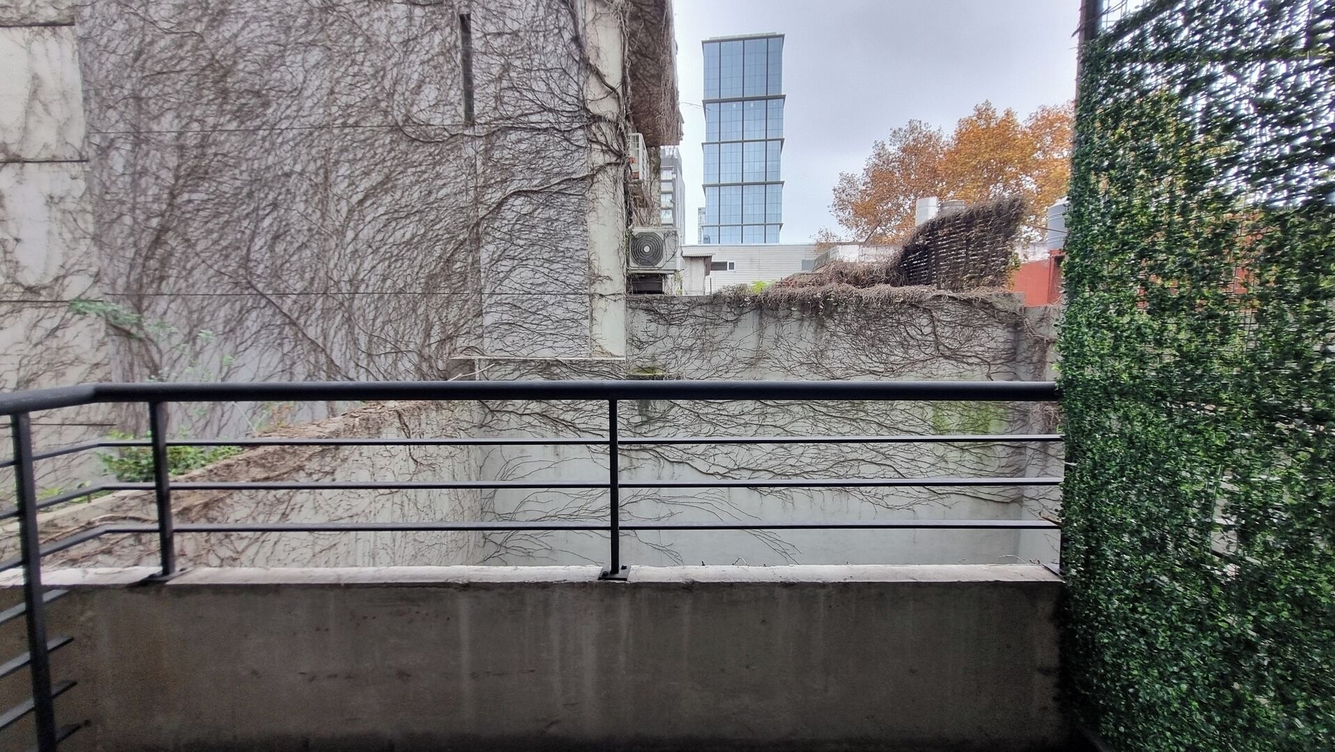 Eine Betonstufenanlage mit Metallgeländer, ein Gebäude mit Glasfassade und eine mit Kletterpflanzen bewachsene Mauer.