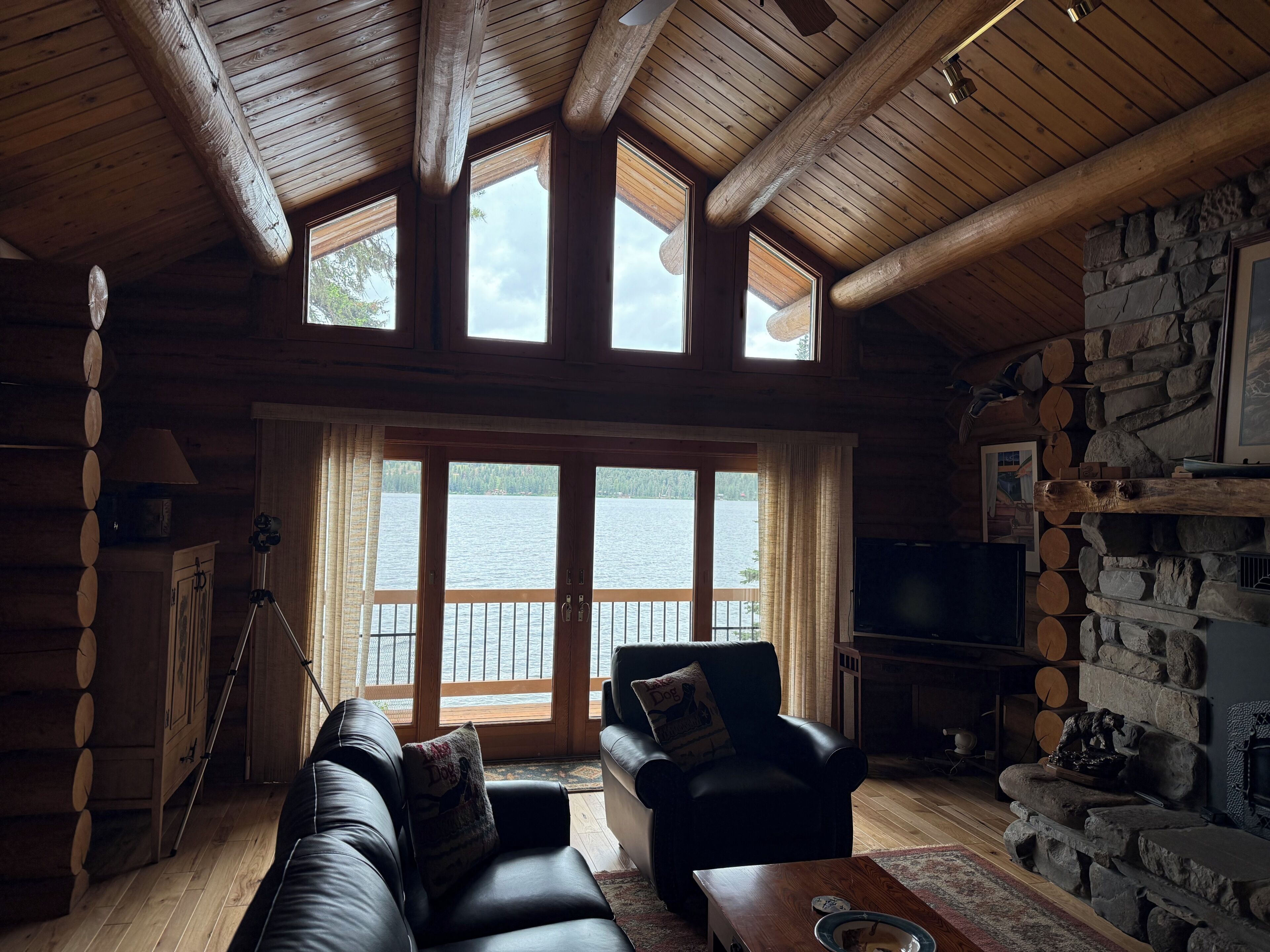 Smart TV, fireplace, video library