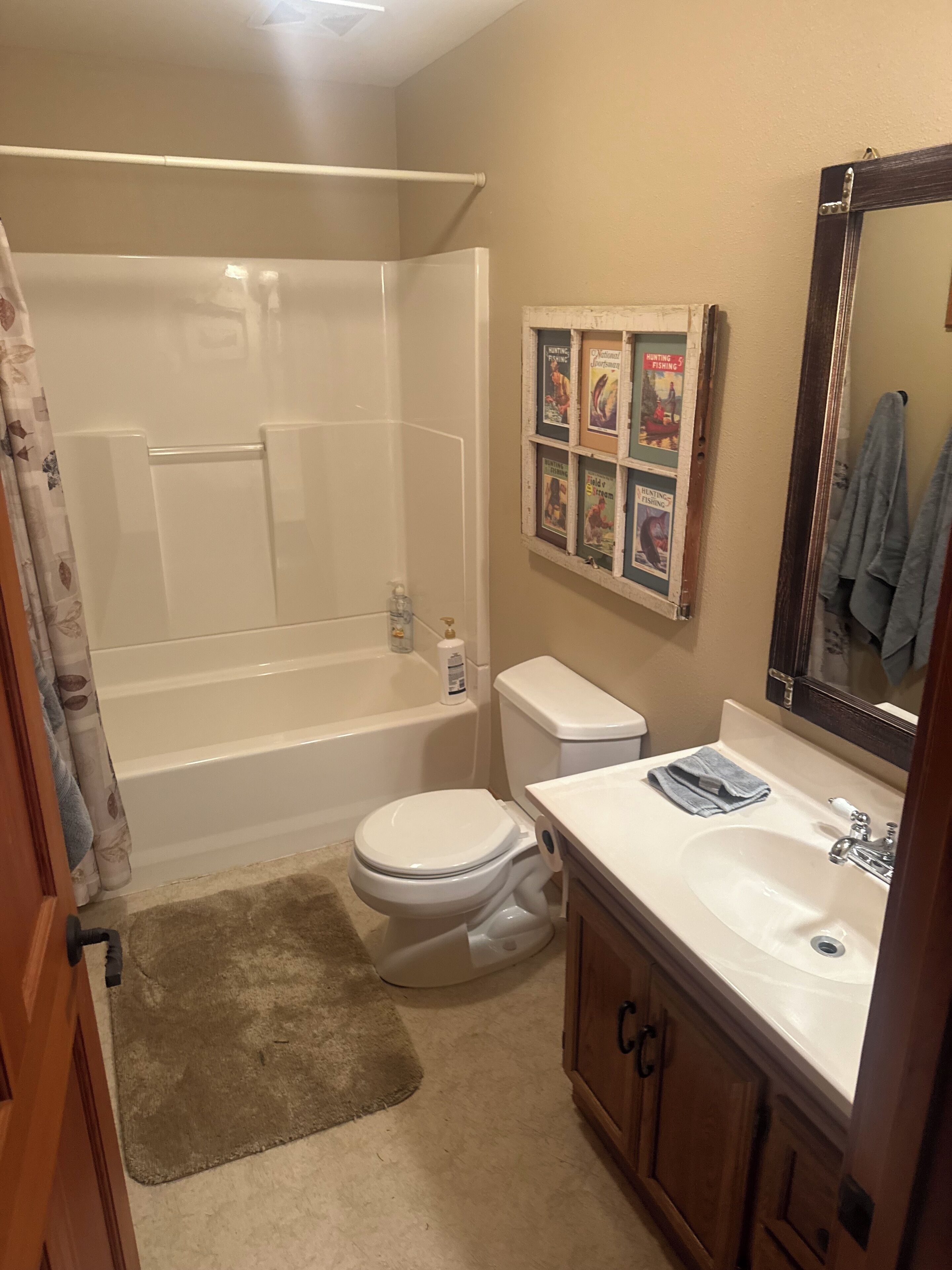 Hair dryer, towels, soap, shampoo