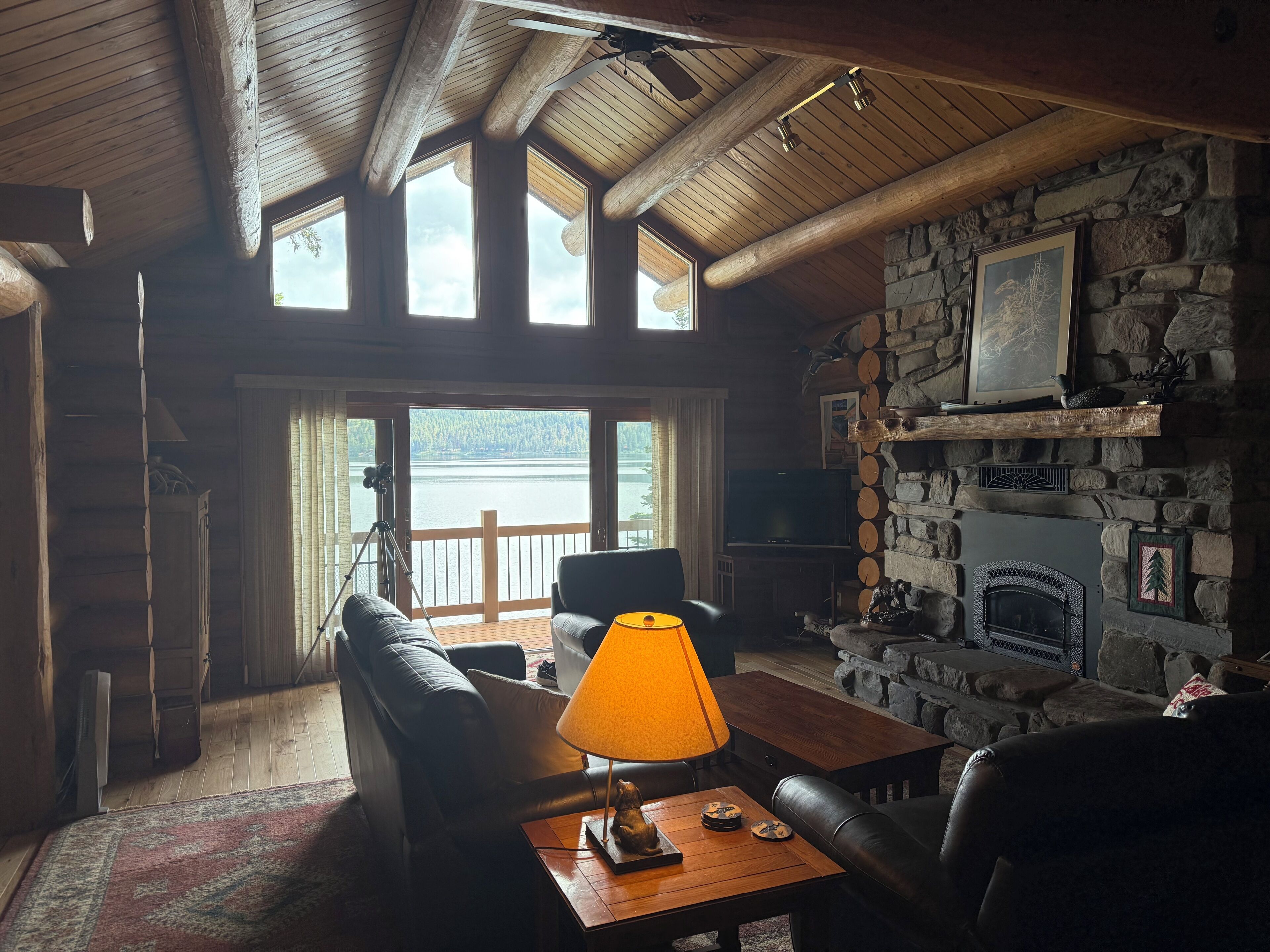 Smart TV, fireplace, video library