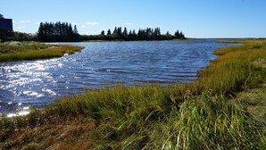 A river with grassy banks and a forest in the background. - Little Shemouge Country Inn (Little Shemogue)