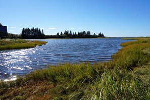 View from property - Little Shemouge Country Inn (Little Shemogue)