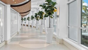 Een moderne hal met witte muren, grote ramen en kamerplanten.