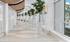 A modern hallway with white walls, large windows, and potted plants. - Tresor 2-1709 (Miami Beach)