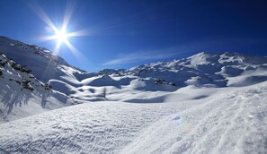 View from property - Apartmaji Alpik (Bohinj)