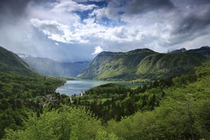 View from property - Apartmaji Alpik (Bohinj)