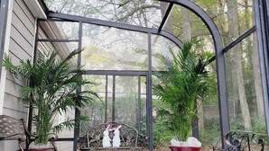 Um alpendre coberto com deck de madeira, grades de metal e vasos com plantas.