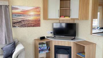 TV, fireplace