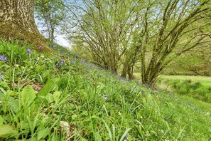 Un paysage naturel avec un arbre, de l’herbe et des fleurs sauvages.