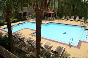 Una piscina con sillas de descanso y palmeras.