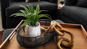 Un salon comprenant un canapé, une plante en pot, un plateau sur lequel repose une sculpture en bois et une fenêtre avec des stores.