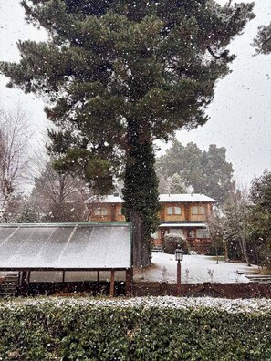 Una casa con un árbol grande en primer plano, rodeada de nieve.