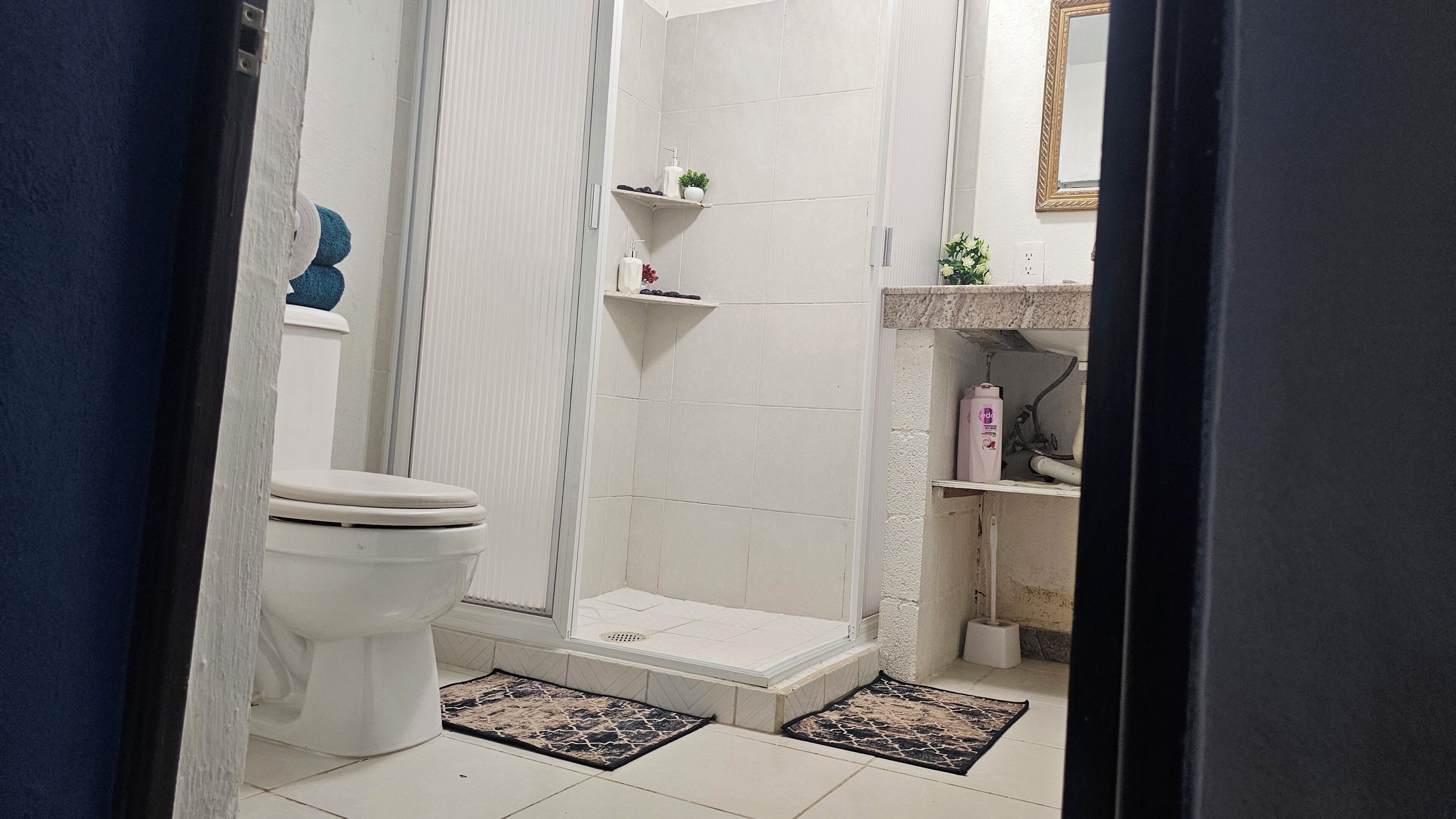 Towels, soap, shampoo, toilet paper