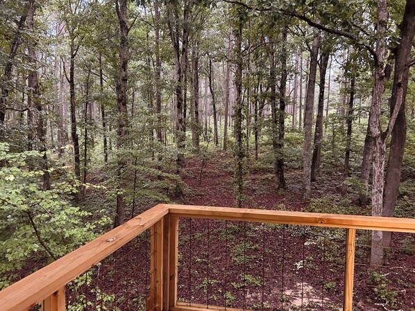 A wooden deck with a metal railing overlooking a forested area.