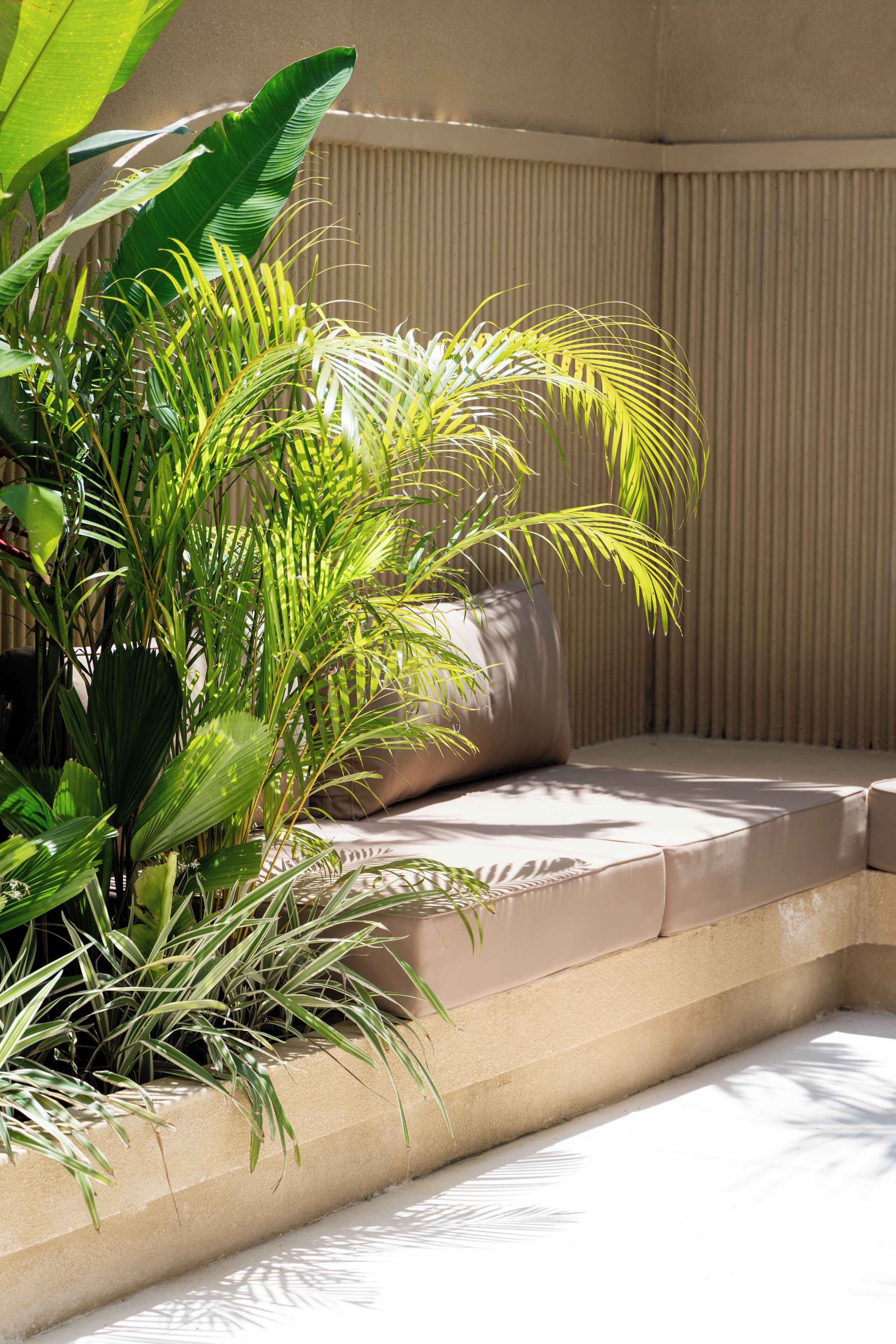 Luxury Villa | Property grounds