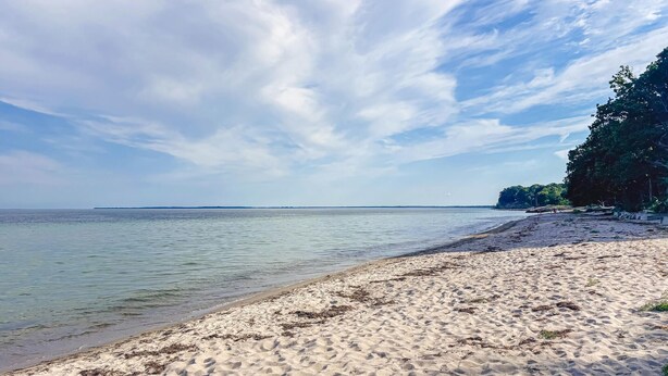 A beach with clear water, sandy shore, and a distant tree line. - 3 bedroom beautiful home in Faxe Ladeplads (Faxe Ladeplads)